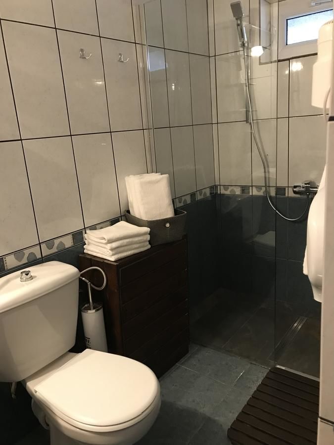 Гостевой дом Pensiunea Cerbul Carpatin Бран